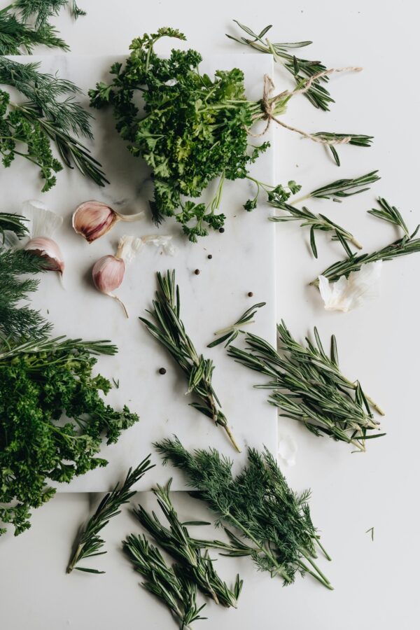 Yorkshire Rosemary