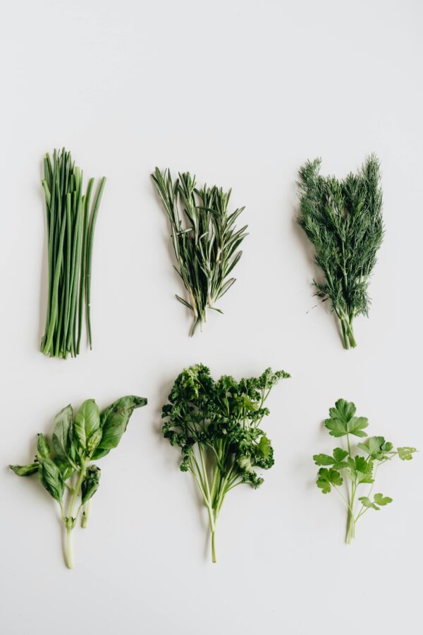 Dill